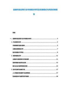 金融科技應(yīng)用行業(yè)市場(chǎng)細(xì)分研究及實(shí)施模式與風(fēng)險(xiǎn)控制報(bào)告