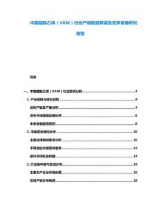 中國醋酸乙烯（VAM）行業(yè)產(chǎn)銷數(shù)據(jù)解讀及競爭策略研究報告