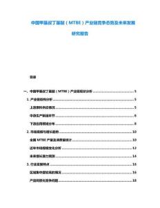 中國甲基叔丁基醚（MTBE）產(chǎn)業(yè)鏈競爭態(tài)勢及未來發(fā)展研究報告