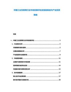 中國(guó)工業(yè)互聯(lián)網(wǎng)行業(yè)市場(chǎng)發(fā)展評(píng)估及智能制造與產(chǎn)業(yè)投資策略
