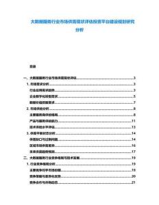 大數(shù)據(jù)服務行業(yè)市場供需現(xiàn)狀評估投資平臺建設規(guī)劃研究分析