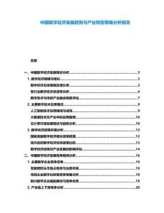 中國(guó)數(shù)字經(jīng)濟(jì)發(fā)展趨勢(shì)與產(chǎn)業(yè)轉(zhuǎn)型策略分析報(bào)告