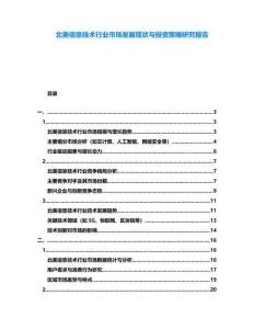 北美信息技術(shù)行業(yè)市場(chǎng)發(fā)展現(xiàn)狀與投資策略研究報(bào)告