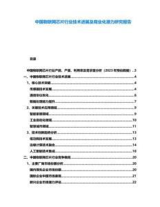 中國物聯(lián)網芯片行業(yè)技術進展及商業(yè)化潛力研究報告