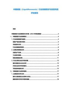 中國液氨（LiquidAmmonia）行業(yè)發(fā)展現(xiàn)狀與投資風險評估報告