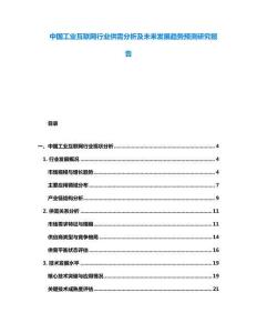 中國(guó)工業(yè)互聯(lián)網(wǎng)行業(yè)供需分析及未來(lái)發(fā)展趨勢(shì)預(yù)測(cè)研究報(bào)告