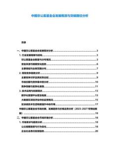 中國非公募基金會發(fā)展瓶頸與突破路徑分析