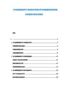 北馬其頓喹硫平片市場(chǎng)動(dòng)態(tài)供需分析與發(fā)展前景投資風(fēng)險(xiǎn)評(píng)估規(guī)劃方案分析報(bào)告