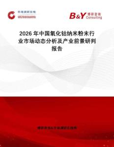 2026年中國(guó)氧化鈷納米粉末行業(yè)市場(chǎng)動(dòng)態(tài)分析及產(chǎn)業(yè)前景研判報(bào)告
