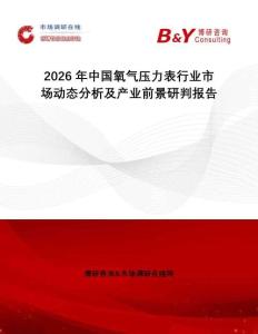 2026年中國(guó)氧氣壓力表行業(yè)市場(chǎng)動(dòng)態(tài)分析及產(chǎn)業(yè)前景研判報(bào)告