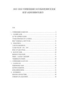 2025-2030中國煤炭能源行業(yè)市場深度調研及發(fā)展前景與趨勢預測研究報告