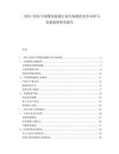 2025-2030中國煤炭能源行業(yè)市場現(xiàn)狀競爭分析與發(fā)展趨勢研究報告