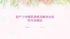 助产士对哺乳困难及解决办法的专业建议