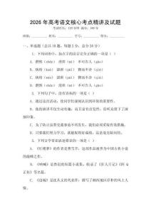 2026年高考語文核心考點(diǎn)精講及試題