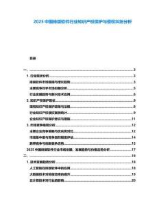 2025中國排版軟件行業知識產權保護與侵權糾紛分析