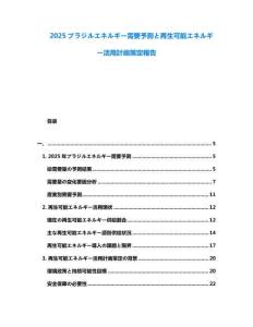 2025ブラジルエネルギー需要予測と再生可能エネルギー活用計(jì)畫策定報(bào)告