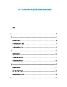 2025ldf市場分析及投資管理策略研究報告