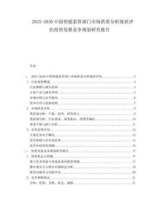 2025-2030中國智能監(jiān)管部門市場供需分析現(xiàn)狀評估投資發(fā)展競爭規(guī)劃研究報告