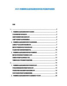 2025中國鋼鐵冶金高溫密封材料技術發展評估報告