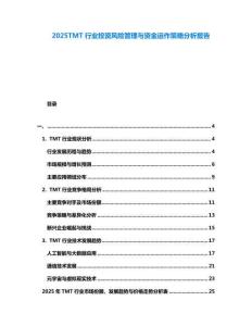 2025TMT行業(yè)投資風(fēng)險(xiǎn)管理與資金運(yùn)作策略分析報(bào)告
