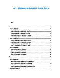 2025中國鋰電池材料技術路線及產能布局分析報告