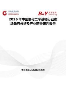 2026年中國(guó)氧化二辛基錫行業(yè)市場(chǎng)動(dòng)態(tài)分析及產(chǎn)業(yè)前景研判報(bào)告