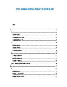 2025中國自動駕駛技術市場運行與未來發展分析