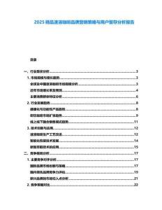 2025精品速溶咖啡品牌營銷策略與用戶留存分析報告