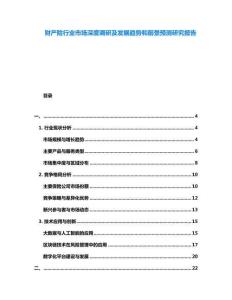 財(cái)產(chǎn)險(xiǎn)行業(yè)市場(chǎng)深度調(diào)研及發(fā)展趨勢(shì)和前景預(yù)測(cè)研究報(bào)告