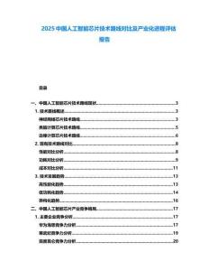 2025中國人工智能芯片技術(shù)路線對(duì)比及產(chǎn)業(yè)化進(jìn)程評(píng)估報(bào)告
