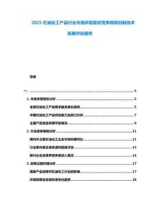 2025石油化工產品行業市場供需現狀競爭格局創新技術發展評估報告