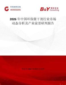 2026年中國環(huán)保催干劑行業(yè)市場動態(tài)分析及產(chǎn)業(yè)前景研判報告