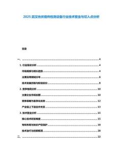 2025武漢光伏組件檢測設備行業技術壁壘與切入點分析