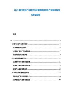 2025現代農業產業現代化轉型路徑研究及產業鏈升級預見專業報告