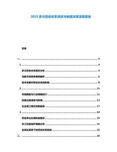2025多元?jiǎng)趧?dòng)關(guān)系演變與制度改革深度報(bào)告