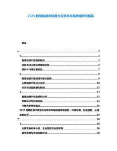 2025智慧能源市場潛力與資本布局戰略研究報告