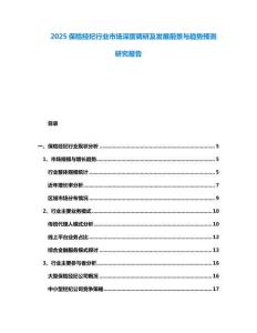 2025保險經(jīng)紀(jì)行業(yè)市場深度調(diào)研及發(fā)展前景與趨勢預(yù)測研究報告