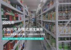 2026年中國閃電倉模式深度解析