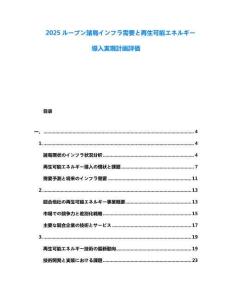 2025ルーブン諸島インフラ需要と再生可能エネルギー導入実現(xiàn)計畫評価
