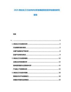 2025西北化工行業(yè)供求分析發(fā)展趨勢投資評估規(guī)劃研究報告
