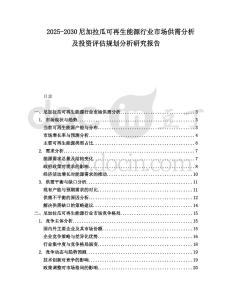 2025-2030尼加拉瓜可再生能源行業(yè)市場供需分析及投資評估規(guī)劃分析研究報告