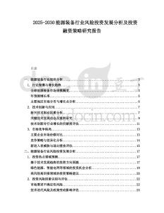 2025-2030能源裝備行業(yè)風險投資發(fā)展分析及投資融資策略研究報告