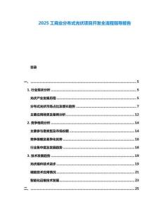 2025工商業(yè)分布式光伏項(xiàng)目開(kāi)發(fā)全流程指導(dǎo)報(bào)告
