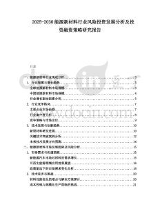 2025-2030能源新材料行業(yè)風險投資發(fā)展分析及投資融資策略研究報告