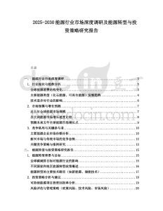 2025-2030能源行業市場深度調研及能源轉型與投資策略研究報告