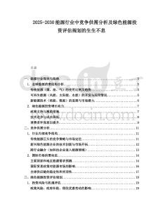 2025-2030能源行業中競爭供需分析及綠色能源投資評估規劃的生生不息