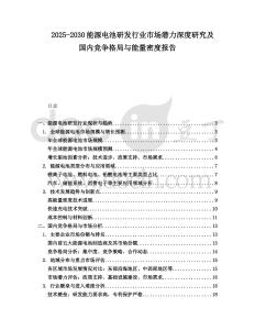 2025-2030能源電池研發行業市場潛力深度研究及國內競爭格局與能量密度報告