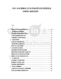 2025-2030能源電力行業市場運營分析及投資機會與管理計劃研究報告