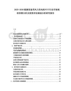 2025-2030能源設備用風力發電機葉片行業市場現狀供需分析及投資評估規劃分析研究報告