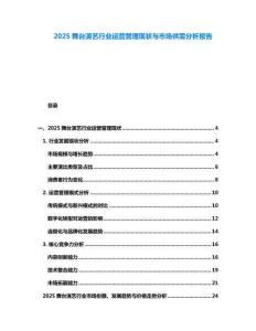 2025舞臺(tái)演藝行業(yè)運(yùn)營(yíng)管理現(xiàn)狀與市場(chǎng)供需分析報(bào)告